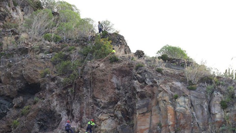 Imagem da intervenção na escarpa efectuada em 2022. FOTO MUNICÍPIO DA PONTA DO SOL