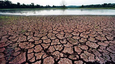 Foto Arquivo/AP Photo/Washington Post, Tracy A. Woodward
