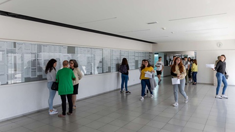 Foto&nbsp;Rui Manuel Ferreira/Global Imagens