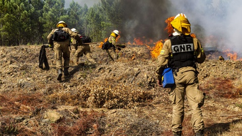Foto Arquivo / Fernando Fontes / Global Imagens