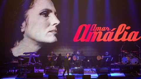 Ao longo dos anos a mais conceituada fadista portuguesa tem sido homenageada, desta feita no ano do seu centenário.&nbsp; Foto Arquivo/Miguel Pereira/Global Imagens