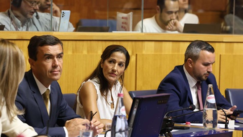 A deputada Carla Rosado foi a porta-voz do grupo parlamentar do PSD. FOTO ASSEMBLEIA DA MADEIRA