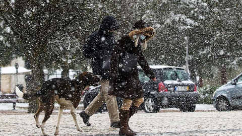 Ainda no fim-de-semana nevou como há uma década não não acontecia no Baixo Alentejo.&nbsp; &nbsp;Foto&nbsp;NUNO VEIGA/LUSA