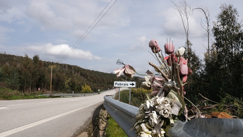 Foto Arquivo/Nuno Brites/Global Imagens