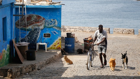 Fotos FERNANDO DE PINA/LUSA