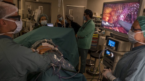 Foto Leonel de Castro/Global Imagens