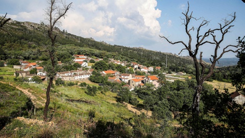 Na aldeia do xisto de Ferraria de São João são visíveis as zonas de proteção onde foram arrancados eucaliptos e plantadas árvores autóctones para prevenir futuros incêndios, 4 anos depois do incêndios de Pedrógão Grande, Ferraria de São João, Penela, 14 de junho de 2021