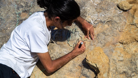 Investigadores acreditam que é possível encontrar ovos de dinossauro no Cabo Espichel, onde estão a fazer investigação. . 