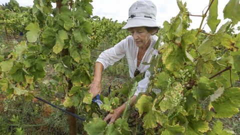 Foto Arquivo/Leonardo Negrão/Global Imagens