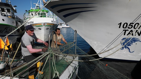 Foto:&nbsp;ESTELA SILVA/LUSA