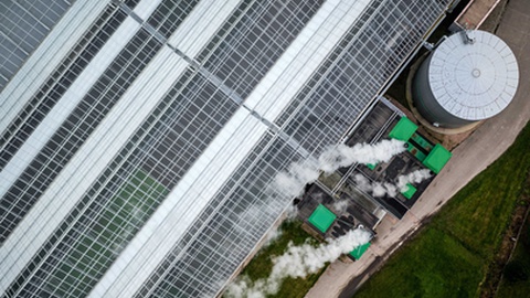 Foto&nbsp;EPA/ROB ENGELAAR