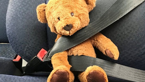 Foto DR/Autoridade Nacional de Segurança Rodoviária