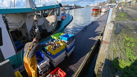 Foto&nbsp;DENIS CHARLET/AFP