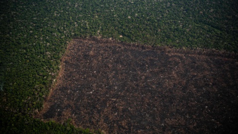Foto MAURO PIMENTEL/AFP