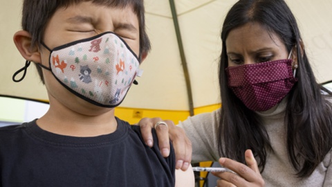 Foto&nbsp;EPA/PETER DASILVA