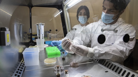 Foto:&nbsp;JOSÉ COELHO/LUSA