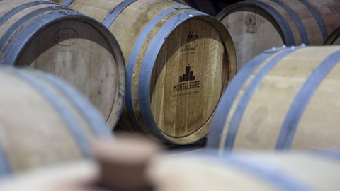 Foto:&nbsp;Artur Machado / Global Imagens