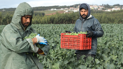 Foto:&nbsp;ANTÓNIO COTRIM/LUSA