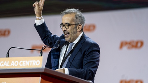 Foto&nbsp;Maria João Gala/Global Imagens