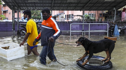 Foto&nbsp;EPA/FAZRY ISMAIL
