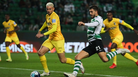 Sporting vence Benfica na Luz e reforça liderança do campeonato de  basquetebol - Basquetebol - Jornal Record