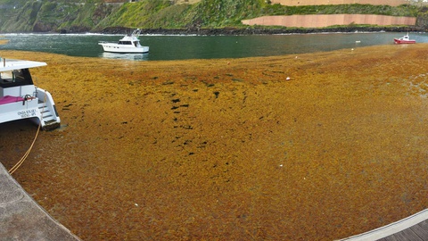 Foto DR/Portos da Madeira