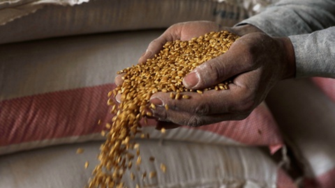 Foto:&nbsp;EPA/YAHYA ARHAB