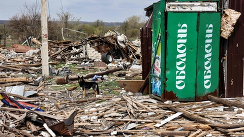 Foto RONALDO SCHEMIDT/AFP