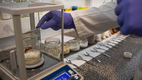 Foto:&nbsp;PAULO CUNHA/LUSA