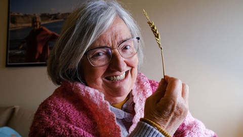 Foto Arquivo/Gerardo Santos / Global Imagens