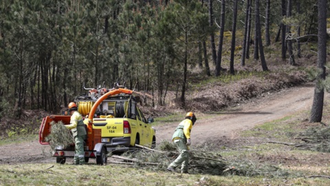 Foto&nbsp;PAULO NOVAIS/LUSA