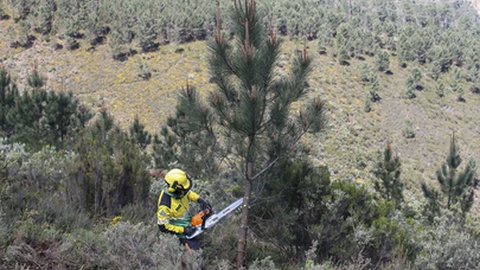 Foto&nbsp;PAULO NOVAIS/LUSA