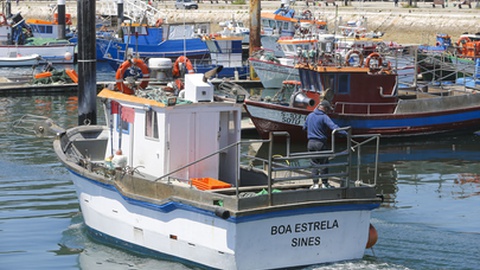 Foto&nbsp;PAULO SPRANGER/Global Imagens