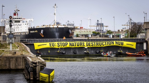 Foto&nbsp;EPA/Koen van Weel