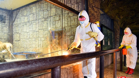 Foto EPA/KCNA