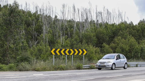 Foto&nbsp;PAULO NOVAIS/LUSA