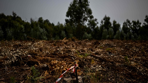 Foto PATRICIA DE MELO MOREIRA/AFP