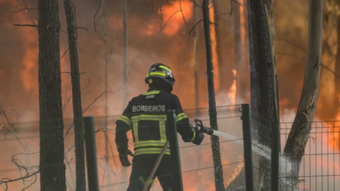 Um bombeiro combate um incêndio em Vales, freguesia de Cercal, concelho de Ourém, 8 de Julho de 2022