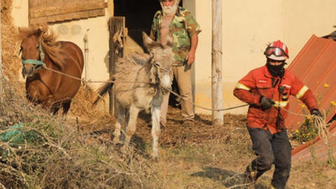 FOTO PAULO CUNHA/LUSA