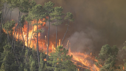 Foto&nbsp;PAULO CUNHA/LUSA