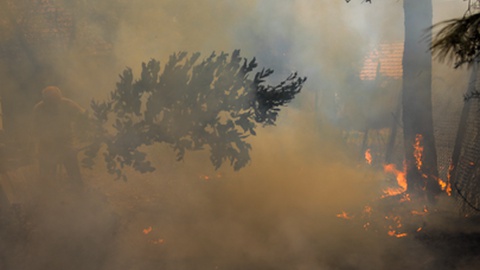 Foto&nbsp;PAULO CUNHA/LUSA