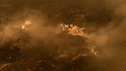 Foto&nbsp;André Luís Alves/Global Imagens