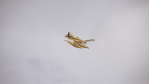 Foto André Luís Alves/Global Imagens