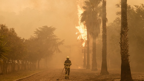 Foto&nbsp;André Luís Alves/Global Imagens