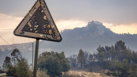 Foto&nbsp;RUI MINDERICO/LUSA