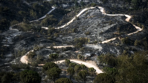 Foto&nbsp;RUI MINDERICO/LUSA
