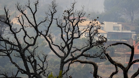 Foto PAULO NOVAIS/LUSA