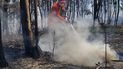 Um sapador florestal combate as chamas junto à aldeia de Rebolo, durante o incêndio que começou ontem em Abiul, Pombal, Rebolo, Ansião.&nbsp;