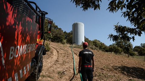 Foto Rui Manuel Ferreira/Global Imagens