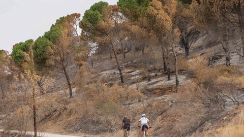 Foto&nbsp;Rui Ribeiro/Global Imagens